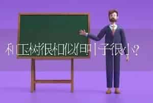 和玉树很相似但叶子很小？