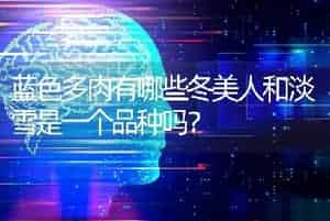 蓝色多肉有哪些冬美人和淡雪是一个品种吗？