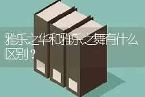 雅乐之华和雅乐之舞有什么区别？