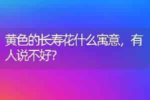 黄色的长寿花什么寓意，有人说不好？