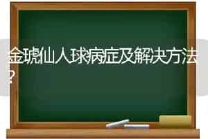金琥仙人球病症及解决方法？
