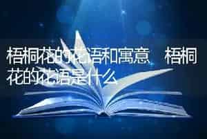梧桐花的花语和寓意 梧桐花的花语是什么