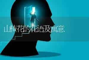 山楂花的花语及寓意