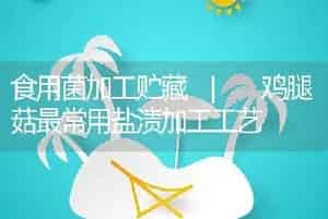 食用菌加工贮藏 | 鸡腿菇最常用盐渍加工工艺