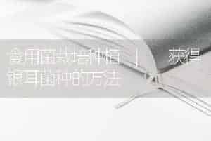 食用菌栽培种植 | 获得银耳菌种的方法
