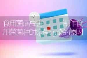 食用菌病虫害 | 制作食用菌菌种时杂菌污染的原因