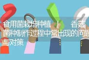 食用菌栽培种植 | 香菇菌种制作过程中常出现的问题与对策