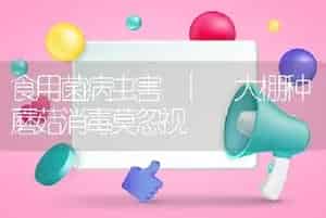 食用菌病虫害 | 大棚种蘑菇消毒莫忽视