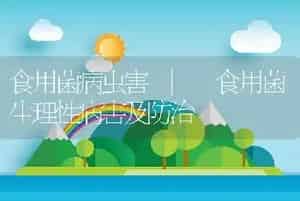 食用菌病虫害 | 食用菌生理性病害及防治