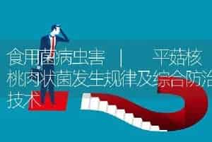 食用菌病虫害 | 平菇核桃肉状菌发生规律及综合防治技术
