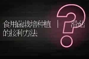 食用菌栽培种植 | 滑菇的接种方法