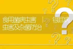 食用菌病虫害 | 银耳病虫害及杂菌防治