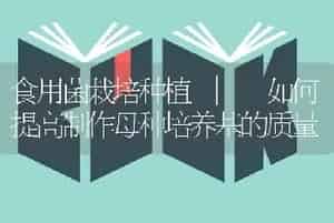 食用菌栽培种植 | 如何提高制作母种培养基的质量