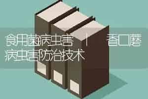 食用菌病虫害 | 香口蘑病虫害防治技术