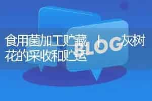 食用菌加工贮藏 | 灰树花的采收和贮运