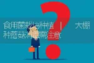 食用菌栽培种植 | 大棚种蘑菇消毒需注意