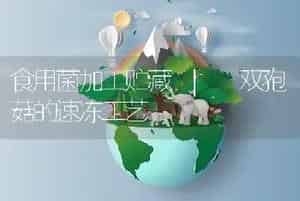 食用菌加工贮藏 | 双孢菇的速冻工艺