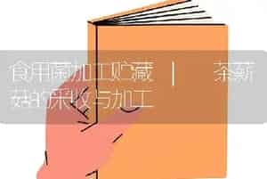 食用菌加工贮藏 | 茶薪菇的采收与加工