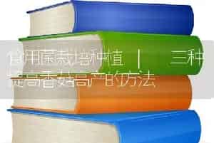 食用菌栽培种植 | 三种提高香菇高产的方法