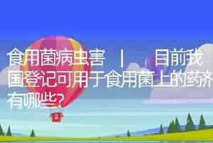 食用菌病虫害 | 目前我国登记可用于食用菌上的药剂有哪些？