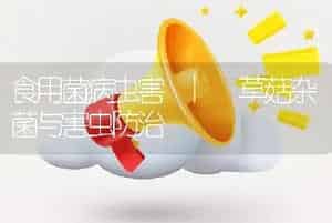 食用菌病虫害 | 草菇杂菌与害虫防治