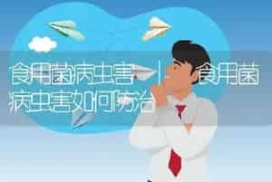 食用菌病虫害 | 食用菌病虫害如何防治