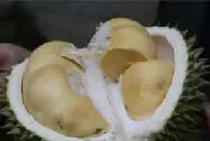 榴莲核能不能吃？它的果皮居然能吃。
