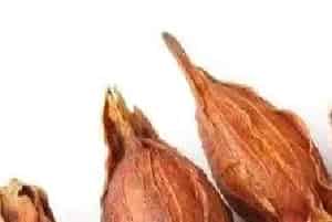 款冬花的功效与作用