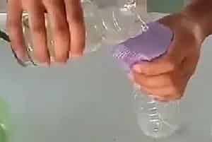 盆栽施肥 | 发财树可以用营养液吗