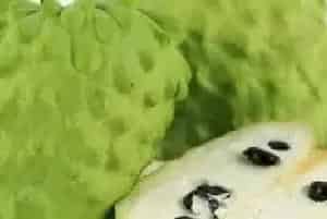 番荔枝几年结果