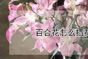 百合花怎么插花瓶好看