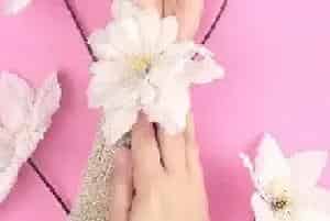 铁线莲花语