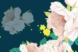 芍药花花语