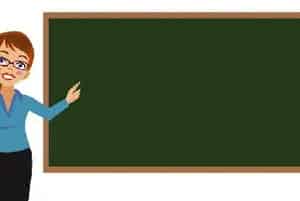 (新中78)白菜品种简介_白菜种子介绍_白菜品牌新中78