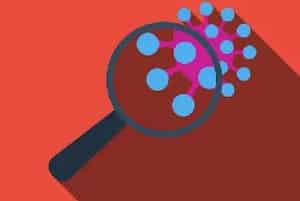 (新选满身红)萝卜品种简介_萝卜种子介绍_萝卜品牌新选满身红