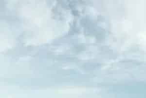 (昊单534)玉米品种简介_玉米种子介绍_玉米品牌昊单534