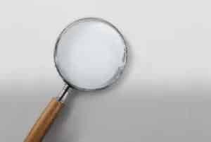 (北辰六号)白菜品种简介_白菜种子介绍_白菜品牌北辰六号