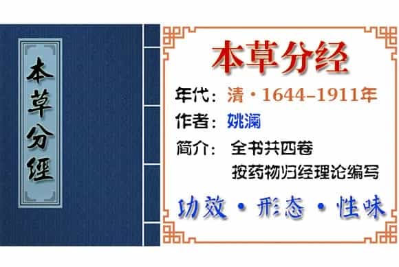 （补）巴戟天 摘自《本草分经》