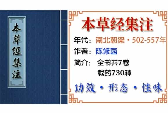 巴戟天 摘自《本草经集注》