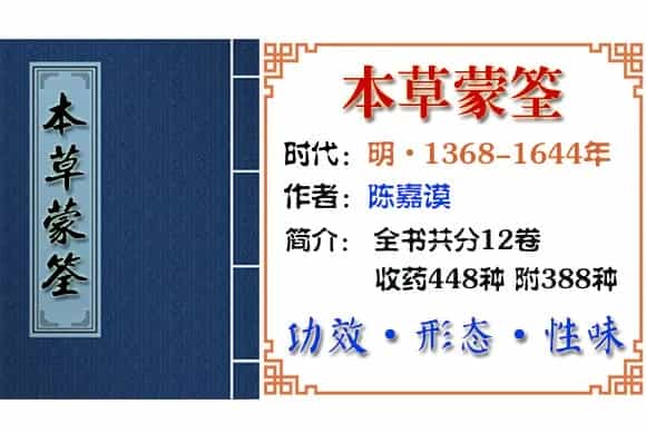 蜀葵花 摘自《本草蒙筌》