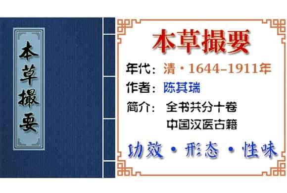 巴戟天 摘自《本草撮要》