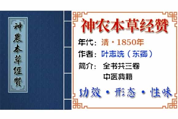 巴戟天 摘自《神农本草经赞》