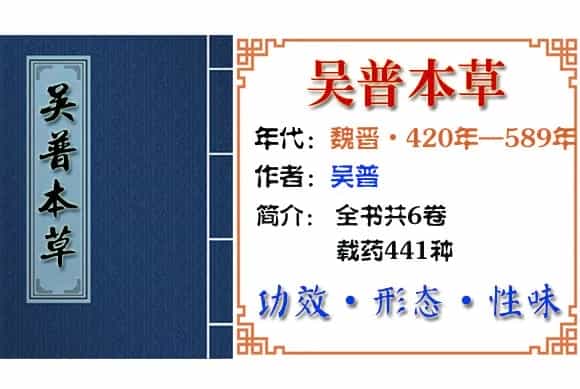 茈胡 摘自《吴普本草》