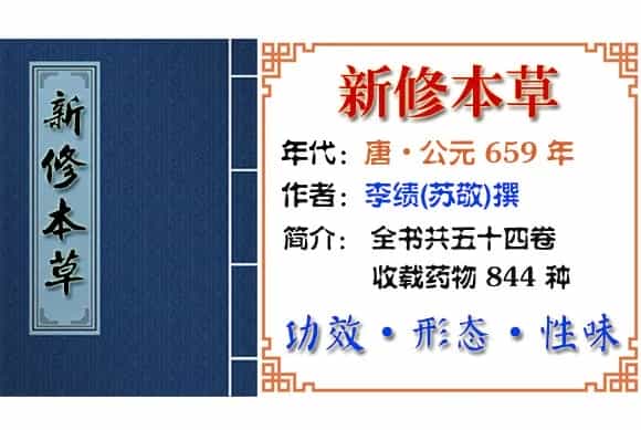 巴戟天 摘自《新修本草》