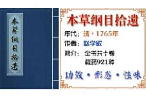 中药材【黄皮果】功效与作用_本草纲目拾遗卷八 果部下_本草纲目拾遗中草药大全