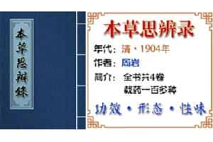 中药材【藕、鸡头实】功效与作用_本草思辨录卷三_本草思辨录中草药大全