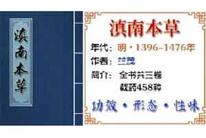 中药材【芙蓉花】功效与作用_滇南本草第二卷_滇南本草中草药大全
