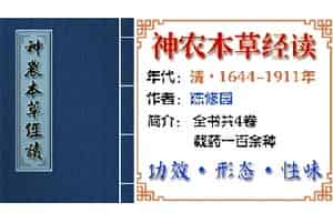 中药材【巴戟天】功效与作用_神农本草经读上品_神农本草经读中草药大全