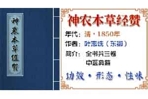 中药材【巴戟天】功效与作用_神农本草经赞卷一上经_神农本草经赞中草药大全