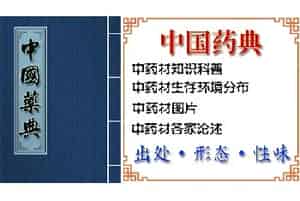 巴戟天(鸡肠风、鸡眼藤)的功效与作用_中国药典_巴戟天图片_中药材